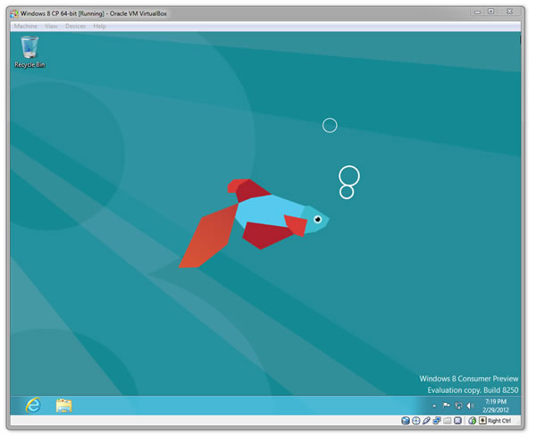 Windows 8 Virtual Machine
