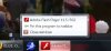 Adobe bug.jpg