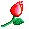 Rose.jpg