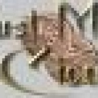 Cica