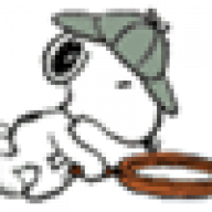 pandaking