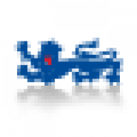 dojo