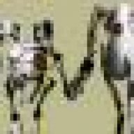 shaun056