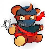 Ninja Teddybear