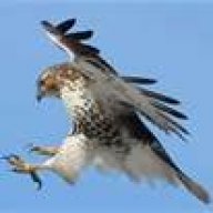 TheHawk