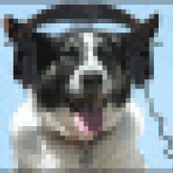 canesheadcase