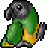 cyanoramphus
