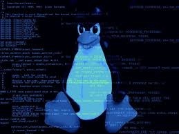 Get the Linux power user bundle for $19