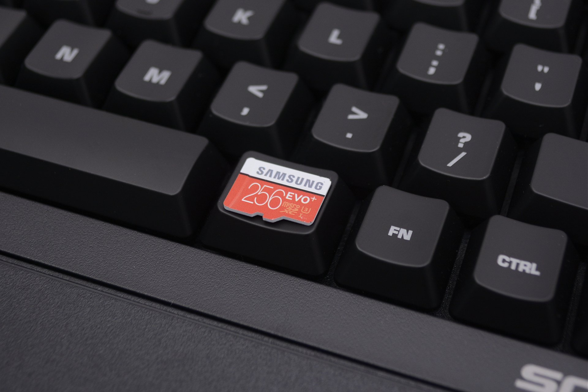 Microsd And Sd Card Buying Guide Techspot Microsd And Sd Card Buying Guide Techspot