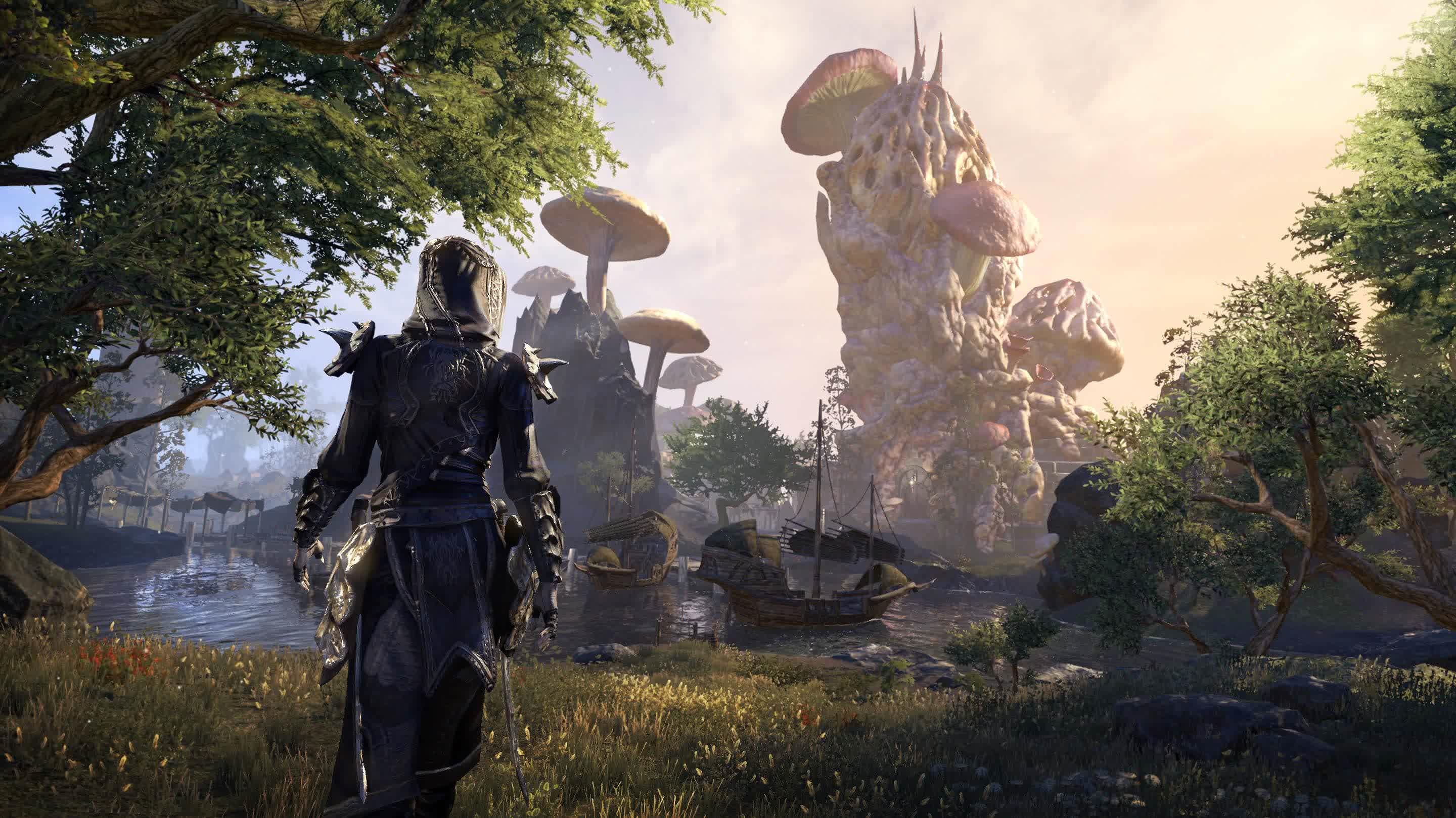 Elder Scrolls Online players are feuding over account-wide achievements