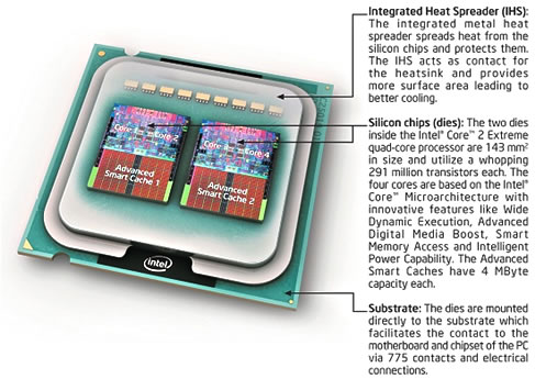 langzaam tragedie nek Intel Core 2 Extreme QX6700 review: Quad Core is here! | TechSpot