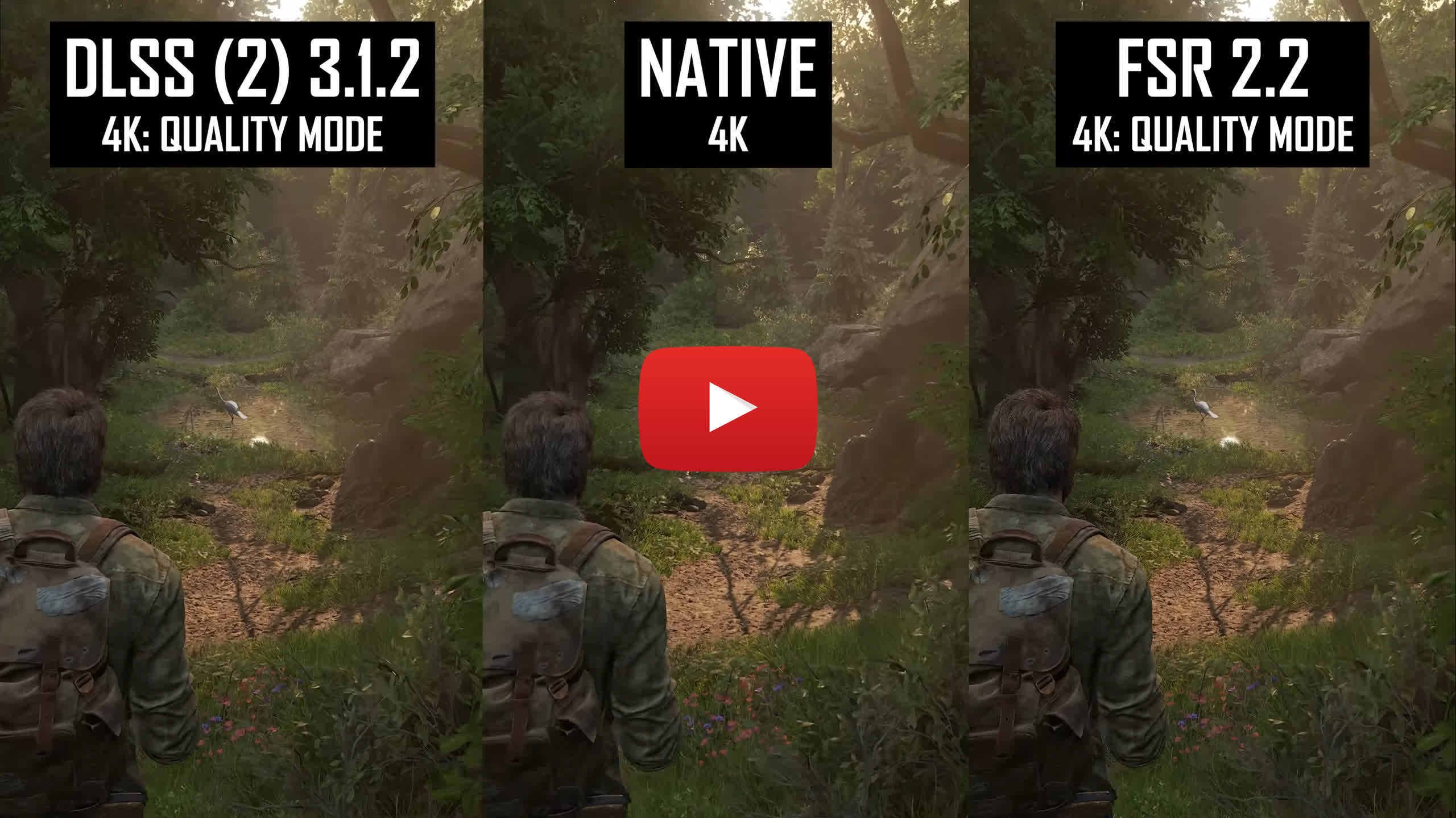 DLSS in Red Dead Redemption 2 Image Quality Comparison : r/nvidia