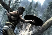 The Elder Scrolls V: Skyrim Performance Test