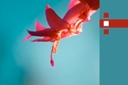 How to Change the Start Screen Background in Windows 8