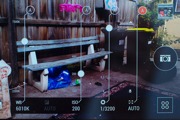 10 Tips for Good Smartphone Photography