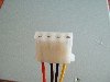 molex.jpg