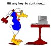 Hit Any Duck.JPG