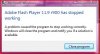 Adobe flash player.JPG