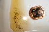 gunk+fluid2.jpg gunk+fluid2.jpg