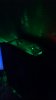 IMG-20150206-WA0026.jpg