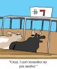 2016-07-07-forgetful.jpg