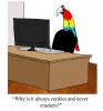 image.jpeg