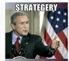bush (2).jpg bush (2).jpg