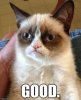 grumpy cat good.jpg