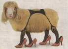 sheep_okcupid.jpg