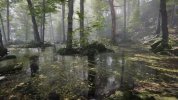 Forest Environment - Dynamic Nature 2-1 screenshot.jpg