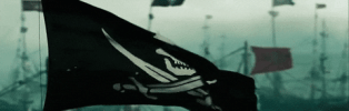 85.gif