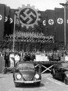 nazi beetle.jpg