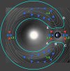 C-Orbit Horseshoe Asteroids.jpg