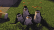 pomma.gif