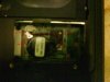 DSC00753.jpg