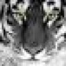 sir_tiger