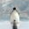 Smellypenguin
