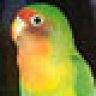 Hoku
