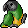 cyanoramphus
