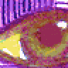 gato007