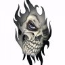 DemonVenom