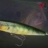 Mistar Angler's