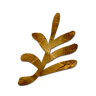 angusdegraosta