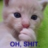 Mewdrill