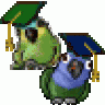 birdbrain