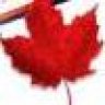 Molson316