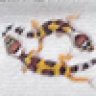 geck0man