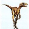 EoRaptor