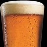 beerguy