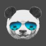 MrNiceGuy439